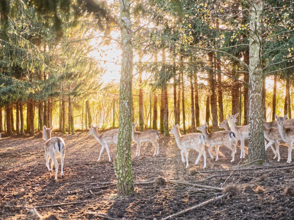 Przystan Nad Zatoka - Gospodarstwo Agroturystyczne Lubieszewo  Exteriér fotografie