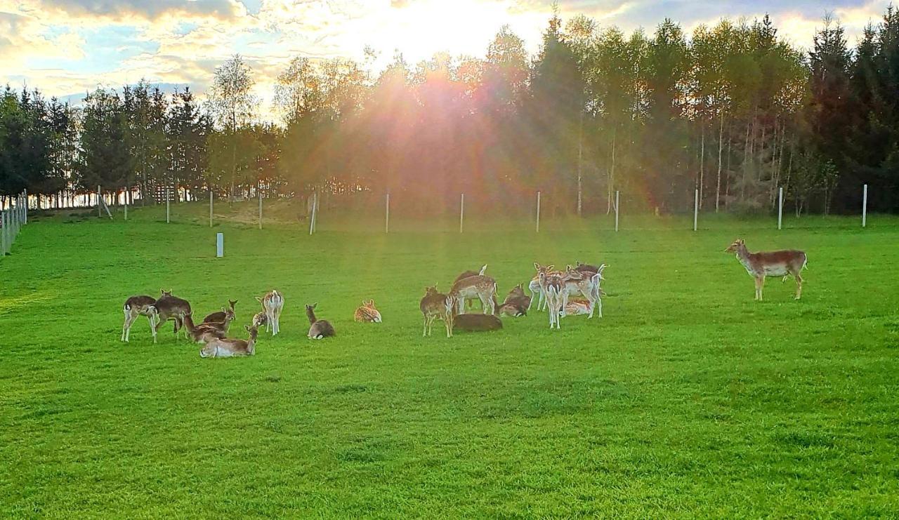 Przystan Nad Zatoka - Gospodarstwo Agroturystyczne Lubieszewo  Exteriér fotografie