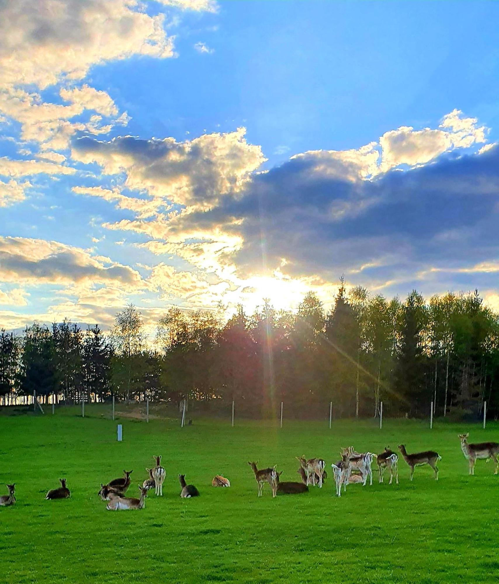 Przystan Nad Zatoka - Gospodarstwo Agroturystyczne Lubieszewo  Exteriér fotografie