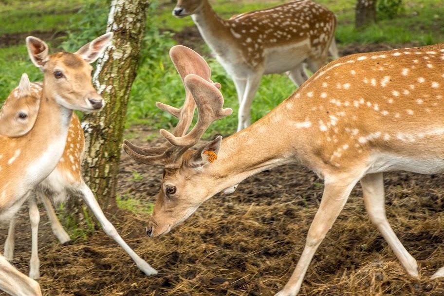 Przystan Nad Zatoka - Gospodarstwo Agroturystyczne Lubieszewo  Exteriér fotografie